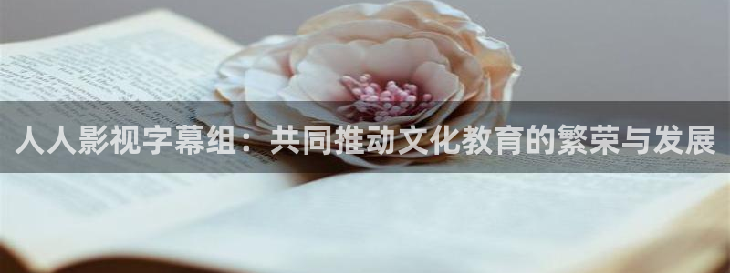 久久视频一区：人人影视字幕组：共同推动文化教育的繁荣与发展