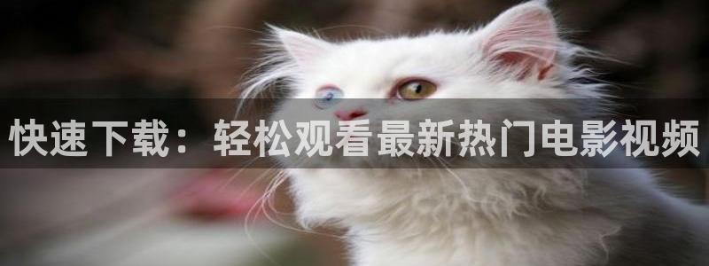 久久电影：快速下载：轻松观看最新热门电影视频