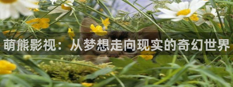 久久久久久免费在线观看：萌熊影视：从梦想走向现实的奇幻世界