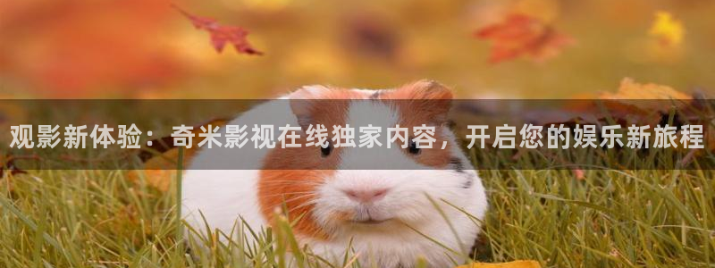99久久精品视频在线观看：观影新体验：奇米影视在线独家内容，开启您的娱乐新旅程