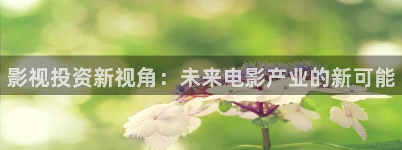 久久人人爽人人爽人人片av不：影视投资新视角：未来电影产业的新可能