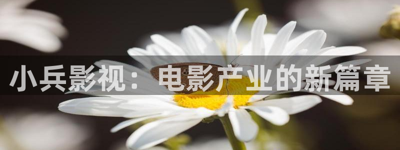 国产成人久久精品99高清：小兵影视：电影产业的新篇章