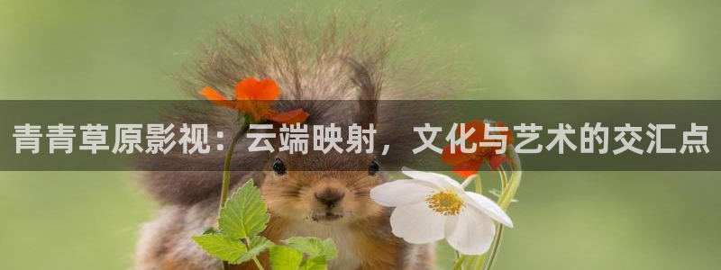 久久这里只有精品视频69：青青草原影视：云端映射，文化与艺术的交汇点