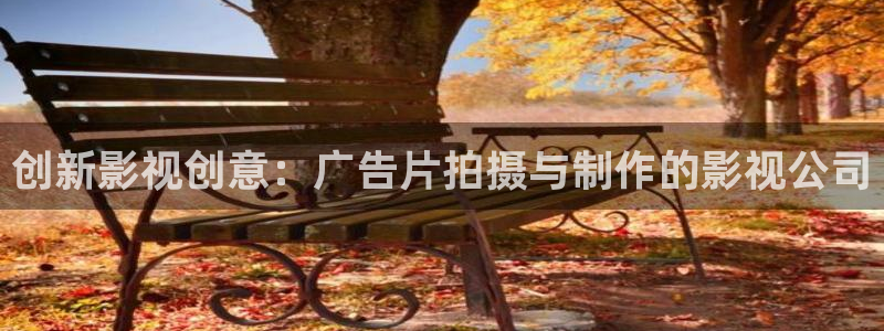 久久国产视频在线观看：创新影视创意：广告片拍摄与制作的影视公司