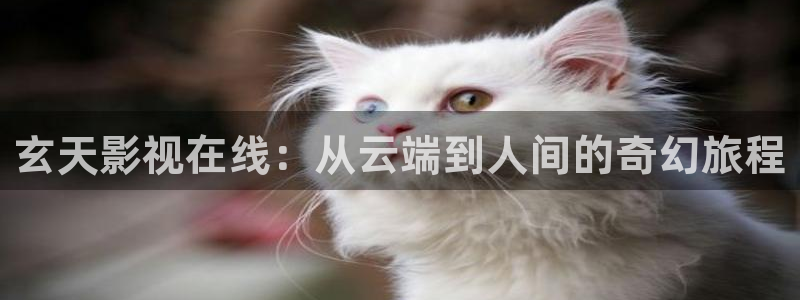 久久国产视频在线：玄天影视在线：从云端到人间的奇幻旅程