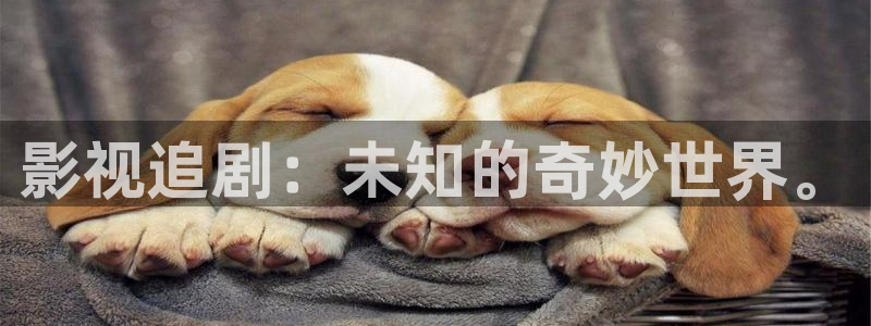免费观看久久视频：影视追剧：未知的奇妙世界。